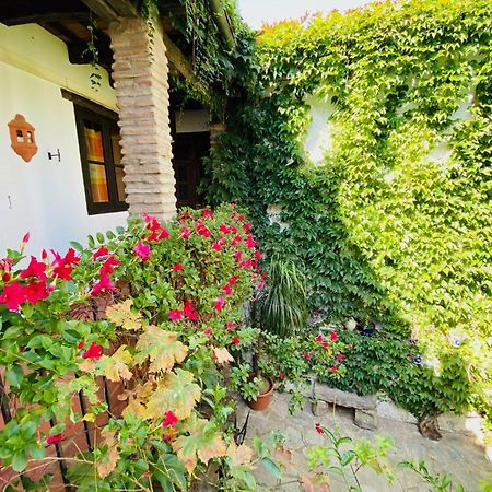Posada La Casa Grande Jimena de la Frontera Kültér fotó
