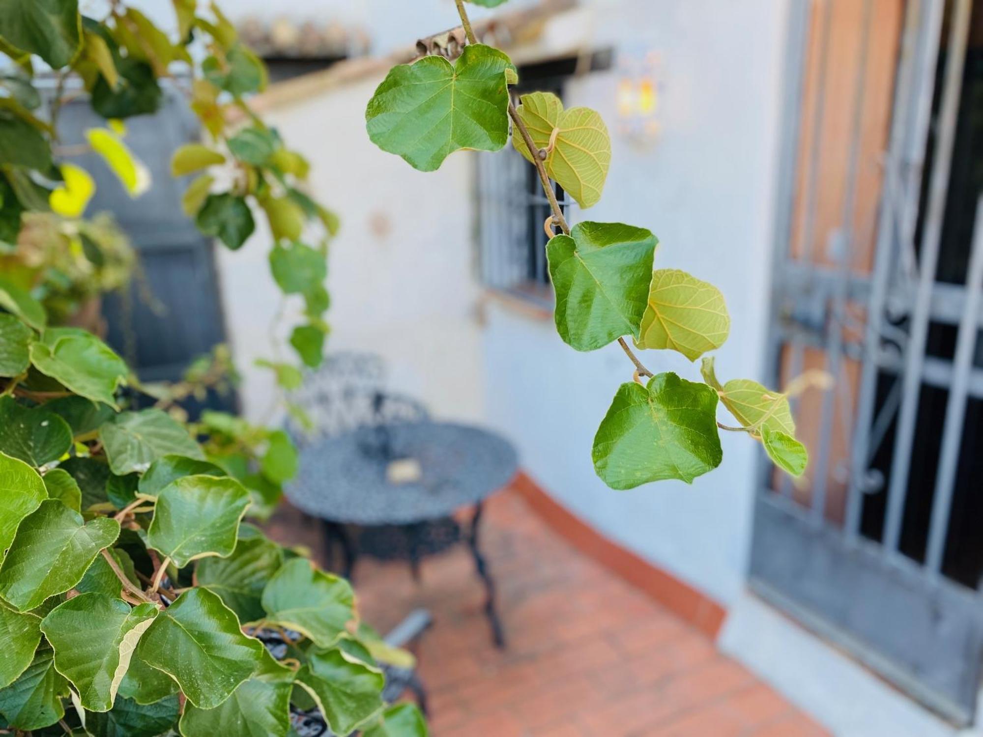 Posada La Casa Grande Jimena de la Frontera Kültér fotó
